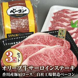 yӂ邳Ɣ[Łzјa I[u T[CXe[L 220g×3EY [X 500gEЍHꐻ x[R 1kgZbg [ ] uh  ؓ lߍ킹 ē  BBQ Ⓚ Zb