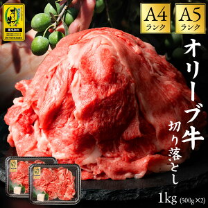 yӂ邳Ɣ[Łzјa I[u ؂藎Ƃ 500g×2 d1.1kg [ ] Ă Ԃ ē LO uh    Y ꉟ  A4 A5 @؂藎