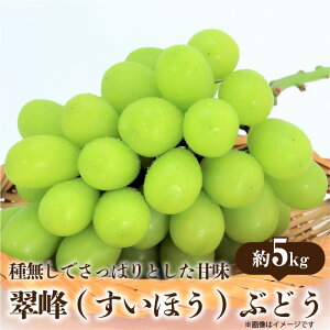 【ふるさと納税】翠峰(すいほう)ぶどう約5kg