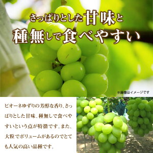 【ふるさと納税】翠峰(すいほう)ぶどう約5kg