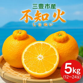 【ふるさと納税】 フルーツ みかん 不知火 5kg （12〜24玉） 先行予約 [ 果物 柑橘 旬 お取り寄せグルメ 新鮮 直送 産地直送 予約販売 人気 ギフト お歳暮 贈答用 家庭用 16000 10,000円 台 送料無料 香川県 三豊市 返礼品 五色青果 ]