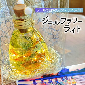yӂ邳Ɣ[Łzu^CeACg w˓̊CɗPr WFt[Cg`ʂ̉Ԃт`x [ LEDCg Ɩ ԐڏƖ CeA Ƌ WFCg 