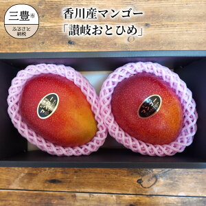 【ふるさと納税】香川産マンゴー「讃岐おとひめ」