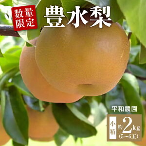 yӂ邳Ɣ[Łz  L ʌ i5`6ʁj2kg s\  Ȃ J[ ʕ t[c  h{ \ r^~ lC  L  Ȃ iV t[c ʕ 