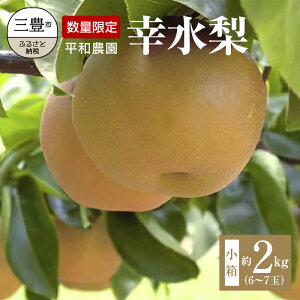 【ふるさと納税】新食感甘柿「太秋柿(たいしゅうがき)」約3.5kg
