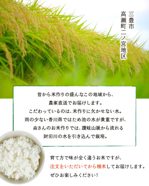 楽天市場】【ふるさと納税】 お米 令和7年産 新米 コシヒカリ 10kg 