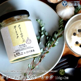 【ふるさと納税】 クリームチーズガーリック 2個 にんにくクリームチーズギフトC [ 黒にんにく 発酵 熟成 チーズ 国産 にんにく スーパーフード 栄養満点 人気 詰め合わせ セット お取り寄せ おつまみ ギフト 送料無料 香川県 三豊市 返礼品 10000 10,000円 台 白川農場 ]