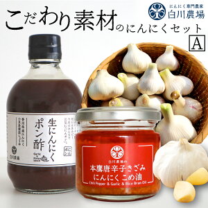 yӂ邳Ɣ[Łzfނ̂ɂɂZbgA [ Y ɂɂ gp    Hp ߖ || hbVO K[bN IC lߍ킹 Zbg   lC 