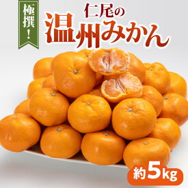 【ふるさと納税】みかん 温州みかん 極撰 約 5kg [ フルーツ 果物 果実 柑橘 デザート スイーツ 甘い 果汁 常温 食品 国産 香川県 三豊市 お取り寄せ お取り寄せグルメ ギフト プレゼント みかん 送料無料 旬 北浜商店 ]【配送不可地域：北海道・沖縄県・離島】