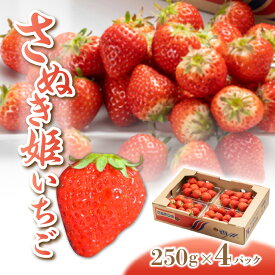 【ふるさと納税】 いちご さぬき姫 オリジナル品種 約1kg(250g×4) [ フルーツ 果物 果実 スイーツ 甘い 果汁 国産 お取り寄せ グルメ ギフト 人気 ランキング プレゼント 香川県 三豊市 さぬき 讃岐 ご当地 10,000円 台 返礼品 送料無料 北浜商店 ] 【2026年出荷】