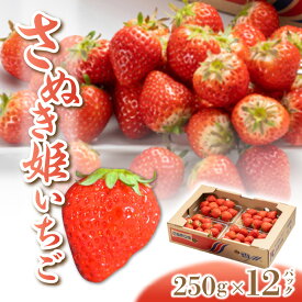 【ふるさと納税】 いちご さぬき姫 オリジナル品種 約3kg(250g×12) [ フルーツ 果物 果実 デザート スイーツ 甘い 果汁 食品 国産 香川県 三豊市 お取り寄せ お取り寄せグルメ ギフト プレゼント 送料無料 北浜商店 ] 【2026年出荷】【配送不可地域：北海道・沖縄・離島】