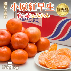 【ふるさと納税】 みかん 小原紅みかん 讃岐の奇跡！特秀品！小原紅早生真っ赤なみかん 極撰 約5kg [ フルーツ 果物 果実 柑橘 スイーツ 食品 国産 香川県 三豊市 お取り寄せ 返礼品 ギフト プレゼント 送料無料 旬 10000 10,000円 台 北浜商店 ]