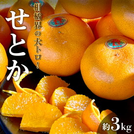 【ふるさと納税】 みかん せとか 柑橘界の大トロ 約3kg [ フルーツ 果物 果実 柑橘 デザート スイーツ 甘い 果汁 常温 食品 国産 お取り寄せ お取り寄せグルメ ギフト プレゼント 人気 ランキング 送料無料 香川県 三豊市 10,000円 台 返礼品 北浜商店 ]【2026年出荷】