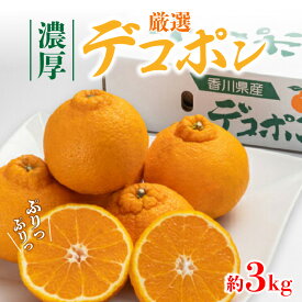 【ふるさと納税】 みかん デコポン 濃厚ぷりっぷりっデコポン 厳選 約3kg [ 不知火 フルーツ 果物 果実 濃厚 柑橘 デザート スイーツ 食品 国産 香川県 三豊市 お取り寄せ ギフト プレゼント グルメ 送料無料 北浜商店 北浜商店 ] 【2026年出荷】
