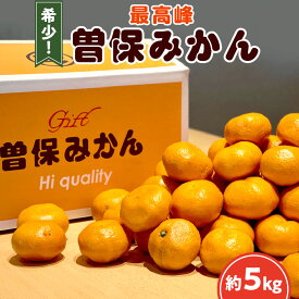 【ふるさと納税】 みかん 最高峰 曽保みかん 約5kg [ フルーツ 果物 果実 希少 柑橘 デザート スイーツ 甘い 果汁 常温 食品 国産 香川県 三豊市 お取り寄せ お取り寄せグルメ ギフト 返礼品 プレゼント 送料無料 旬 10000 10,000円 台 北浜商店 ]
