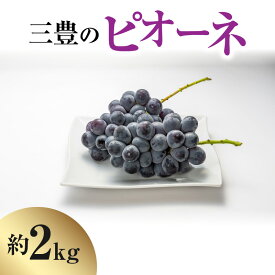 【ふるさと納税】【2024年出荷】ピオーネ 約 2kg 三豊産 フルーツ 果物 ぶどう 甘い 濃厚 ぷりぷり 食品 至高のピオーネ お取り寄せ お取り寄せフルーツ デザート 8月上旬より発送 香川県 三豊市 老舗果物屋 北浜商店 冷蔵 送料無料