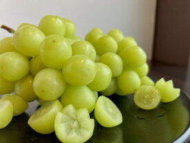 【ふるさと納税】 シャインマスカット 種なし 数量限定 老舗果物屋が選りすぐった至高のシャインマスカット 約750g（1房） [ マスカット フルーツ 名産品 葡萄 ぶどう 種無し 贈り物 デザート 香川県 三豊市 ご当地 瀬戸内海 瀬戸内 13000 10,000円 台 返礼品 北浜商店 ]