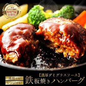 【ふるさと納税】ハンバーグ 肉職人が厳選 肉の匠こだわり仕込み 『肉屋のこだわりハンバーグ 』10個or20個 [ お取り寄せ お取り寄せグルメ グルメ 湯せん レンチン デミ 10個 温めるだけ おいしい 弁当 お弁当 おかず 惣菜 香川県 三豊市 10,000円 以下 台 しゃぶ亭まる ]