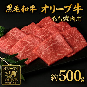 yӂ邳Ɣ[Łz јa I[u ēp 500g [ ] Ă Ԃ ē LO uh    Y ꉟ   ؂藎Ƃ OLs 10000 10