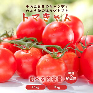 yӂ邳Ɣ[Łz~jg}g 1.5kg~3kg Iׂ _ OLsYg}g v`g}g 󂠂 Ƌl܂z̃GlM[ VN̂܂ NƔ̗ ŊtbV 