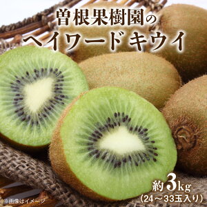 曽根果樹園のヘイワードキウイ約3kg(24~33玉入り)