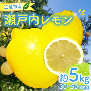 yӂ邳Ɣ[ŁzyzsnFkCEꌧEz OLsY ˓ 5kgi30`50Oj EG  u₩   Y lemon I[KjbN ˓ L@ ʔ 