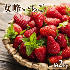 yӂ邳Ɣ[ŁzyzsnFkCEꌧEz 􂢂@2kg H { ܐF