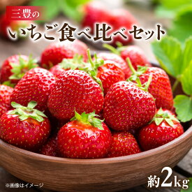 【ふるさと納税】 いちご 食べ比べセット 女峰いちご さぬきひめ 各 250g 4パック 計 約 2kg [ 苺 イチゴ 食べ比べ セット 甘み 酸味 香りが強い ジューシー 果肉 ケーキ お菓子 果物 フルーツ スイーツ 香川県 お取り寄せ 送料無料 20000 20,000円 台 五色青果 ]