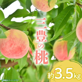 【ふるさと納税】 【先行予約】とろける果肉 「三豊の桃」 約3.5kg もも ギフト フルーツ 3kg以上 モモ