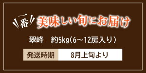 【ふるさと納税】翠峰(すいほう)ぶどう約5kg
