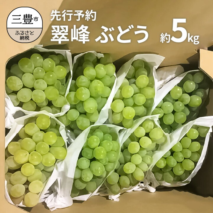 楽天市場 ふるさと納税 先行予約 マスカット 翠峰 ぶどう 約5kg 送料無料 産地直送 旬の果物 フルーツ お取り寄せグルメ お取り寄せ ギフト プレゼント 贈り物 大粒 人気 種なし 種なしぶどう クール便 果物 三豊市 香川県 香川県三豊市