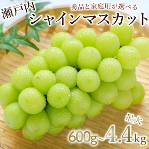 yӂ邳Ɣ[ŁzԌ VC}XJbg 1[(600g)`ő9[(4.4kgȏ) [ t[c ʕ Ԃǂ }XJbg  { x 炲 Ȃ  Hi 嗱 󂠂 p Mtg