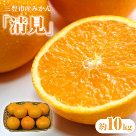 【ふるさと納税】 フルーツ みかん 三豊市産みかん「清見」約 10kg 先行予約 [ 清見みかん 約10kg フルーツ 果物 柑橘 ジューシー 甘い 旬 新鮮 直送 産地直送 予約販売 人気 ギフト お歳暮 贈答用 家庭用 10000 10,000円 台 送料無料 香川県 三豊市 返礼品 五色青果 ]