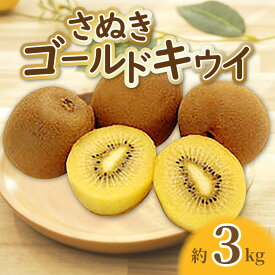 【ふるさと納税】 キウイ 【先行予約】 キウイフルーツ キウイ ゴールドキウイ 約 3kg 20玉〜24玉 甘い 果実 大きい 大玉 さぬきゴールドキウイ フルーツ 果物 人気 ランキング お取り寄せ ギフト グルメ 香川県 三豊市 10,000円ご当地 台 送料無料 五色青果