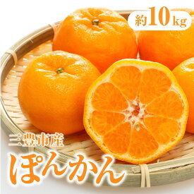 【ふるさと納税】 ぽんかん 三豊市産ぽんかん 約10kg [ 香川県産 四国産 柑橘 果物 フルーツ 果汁たっぷり 柔らかい内皮 食べやすい 新鮮 産地直送 ジューシー 甘い 旬 新鮮 直送 産地直送 ギフト 贈答用 家庭用 送料無料 香川県 三豊市 返礼品 10000 10,000円 台 五色青果 ]