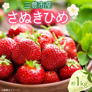yӂ邳Ɣ[Łzys\zyzsnFkCEꌧEz C`S ʂЂ߂  1kg 250g 4pbN OLsY 炩ȐH ʏ`ӂ W[V[ ʓ L 