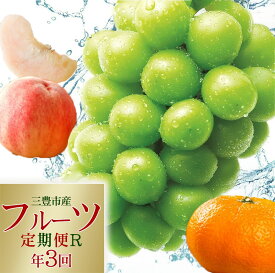 【ふるさと納税】フルーツ 定期 フルーツ王国 みとよ 特選 3回お届け 定期便 フルーツ みかん 完熟 高糖度 もも あかつき 大玉 シャインマスカット 瀬戸内 果物 果実 定期 旬 高級 おすすめ 香川県 三豊市 ご当地 讃岐 さぬき 100,000円 台 返礼品 送料無料 五色青果