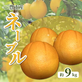 【ふるさと納税】 フルーツ みかん ネーブル 約 9kg 36玉〜60玉 先行予約 [ バランスが良い 華やかな香りが強い オレンジ 果物 柑橘 旬 お取り寄せグルメ 新鮮 直送 産地直送 人気 ギフト お歳暮 贈答用 家庭用 10,000円 台 送料無料 香川県 三豊市 返礼品 五色青果 ]