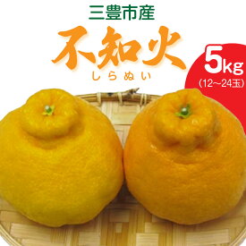 【ふるさと納税】 フルーツ みかん 不知火 5kg （12〜24玉） 先行予約 [ 果物 柑橘 旬 お取り寄せグルメ 新鮮 直送 産地直送 予約販売 人気 ギフト お歳暮 贈答用 家庭用 16000 10,000円 台 送料無料 香川県 三豊市 返礼品 五色青果 ]