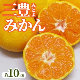 【ふるさと納税】 フルーツ みかん 三豊みかん 約 10kg 先行予約 [ 果物 柑橘 旬お取り寄せグルメ 新鮮 直送 産地直送 予約販売 人気 ギフト お歳暮 贈答用 家庭用 12000 10,000円 台 送料無料 香川県 三豊市 返礼品 五色青果 ]