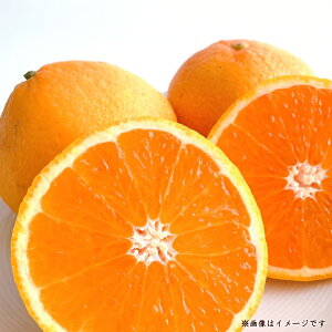 yӂ邳Ɣ[Łz t[c ݂ OL݂  5kg s\ [ ʕ k {񂹃O VN  Yn \̔ lC Mtg Ε p ƒp 12000 10,000~   