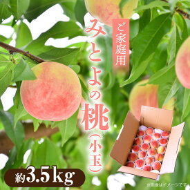 【ふるさと納税】【先行予約】 【ご家庭用】みとよの 桃 (小玉)　約3.5kg もも 旬 6月中旬 果肉