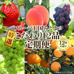 【ふるさと納税】フルーツ王国みとよの特選こだわり12品定期便(12回)