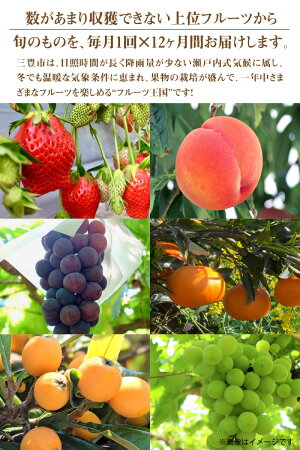 【ふるさと納税】フルーツ王国みとよの特選こだわり12品定期便(12回)