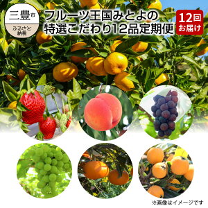 【ふるさと納税】フルーツ王国みとよの特選こだわり12品定期便(12回)