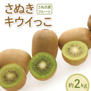 yӂ邳Ɣ[Łzys\z yzsnFkCEꌧEzLEC  2kg 40`80 ʂLEC Y TCY  쌧 ʕ ʂ]t[c IWiLEC 