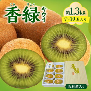 yӂ邳Ɣ[Łz t[c fU[g ʕ ʎ LEC ʂ]t[c  LEC XC[g16 1.3kg ϔ x wC[h yY Mtg 쌧 OLs   ܐF