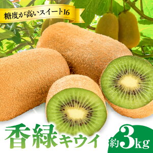 yӂ邳Ɣ[Łz t[c fU[g ʕ ʎ ZΐF ʂ]t[c  LEC XC[g16 3kg GhO[ ʓ yY Mtg 쌧 OLs   ܐF