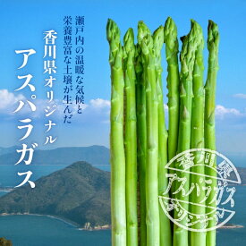 【ふるさと納税】 アスパラガス さぬきのめざめ 約1.5kg 先行予約 [ バラ詰め 夏芽 春芽 グリーンアスパラ シャキシャキ 新鮮野菜 旬 冷蔵 野菜 夏野菜 贈答用 お取り寄せグルメ 人気 ギフト ランキング 取り寄せ アスパラ 産地直送 送料無料 香川県 三豊市 豊田農園 ]