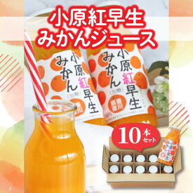 【ふるさと納税】小原紅早生みかんジュース10本セット 秋 旬